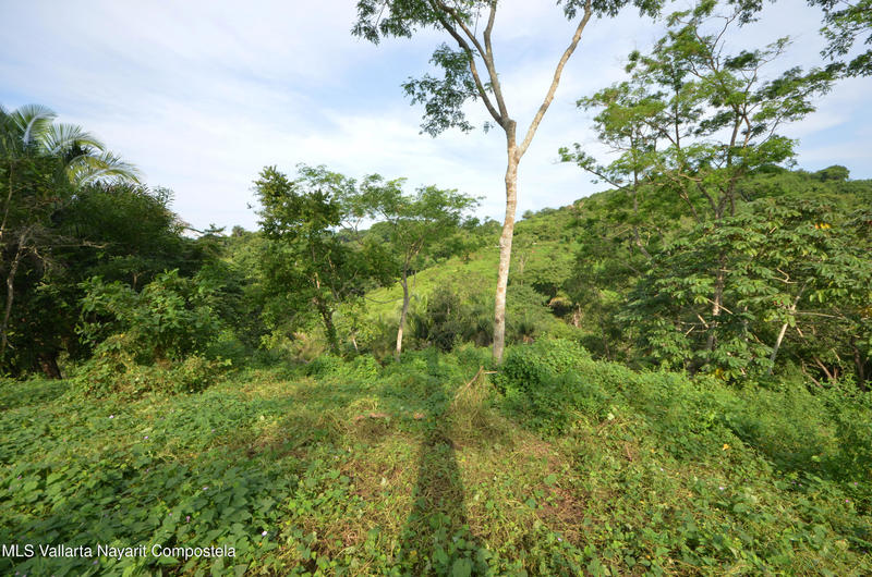 20260116235219758663000000 o