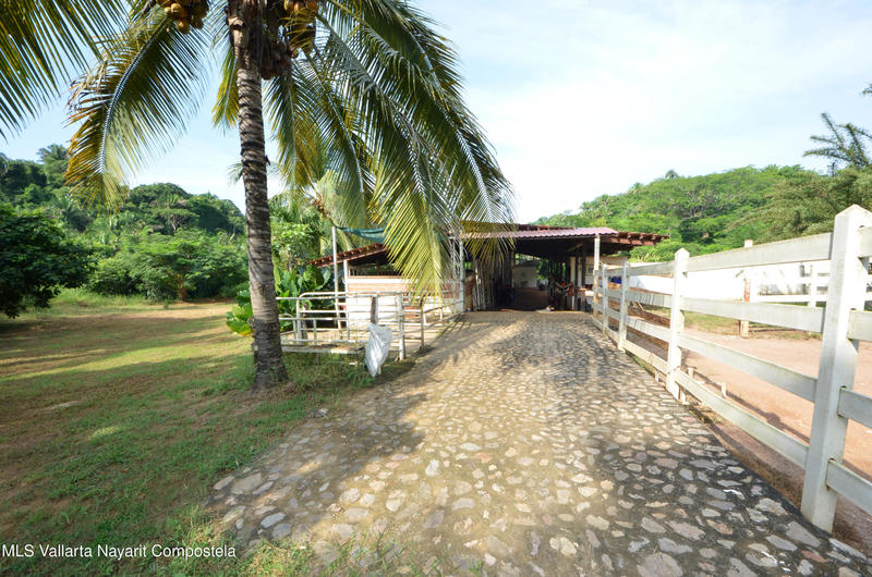 20260116235236720699000000 o