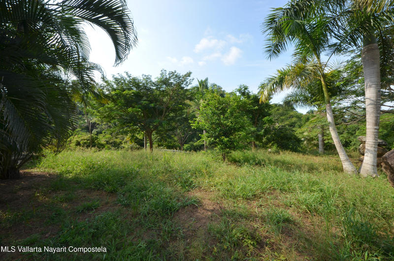 20260116235316683156000000 o