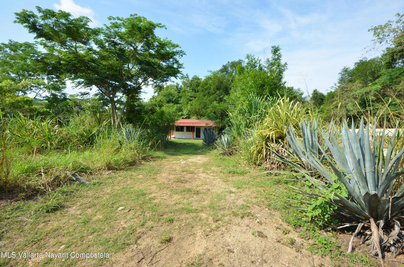 20260116235445214276000000 o