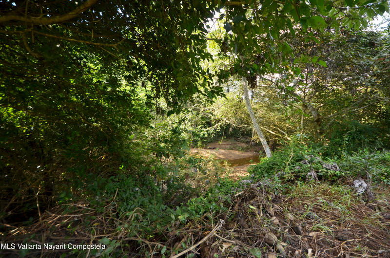 20260116235511305254000000 o