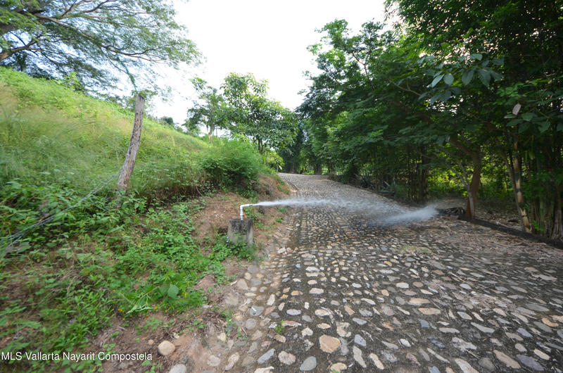 20260116235528855720000000 o