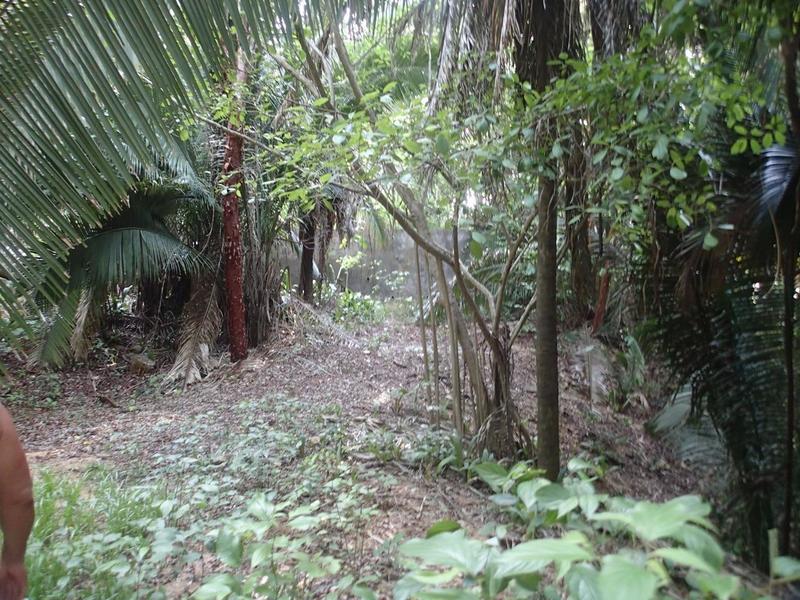 00 Las Clavellinas, Clavellinas Lote, Riviera Nayarit, Na