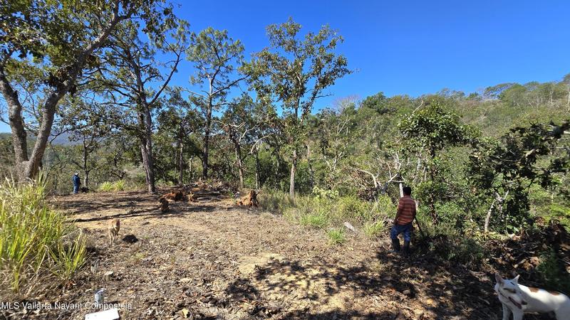 20250804195646339197000000 o