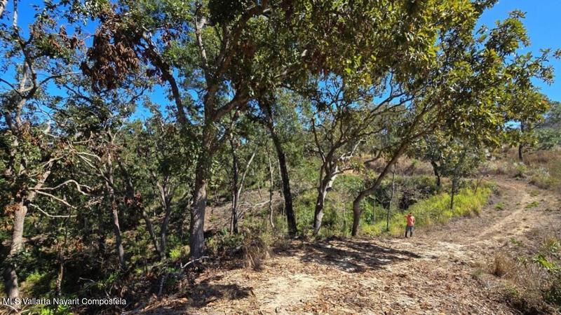 01 Carretera Tuito   Vallarta, Lote 09, Sierra Madre Jalisco, Ja