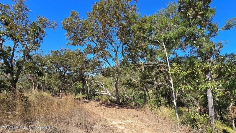 20250804200355021201000000 o