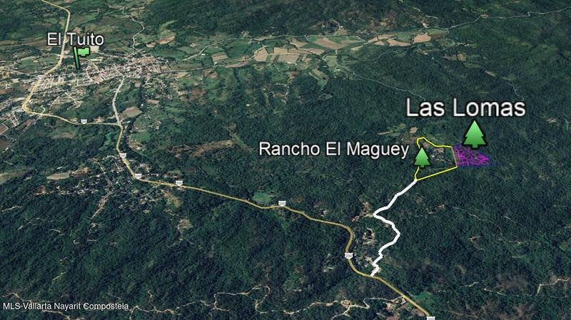 20250804200357504535000000 o