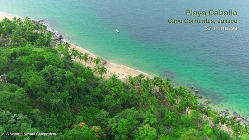 20250804200456982761000000 o