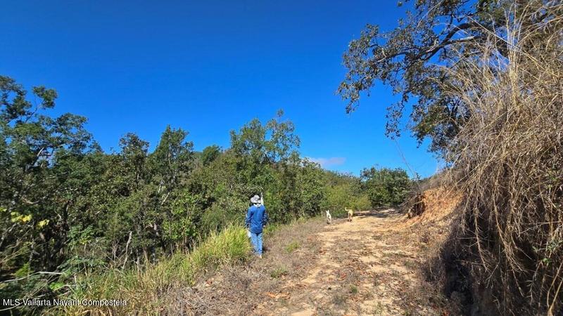 20250801184537187370000000 o