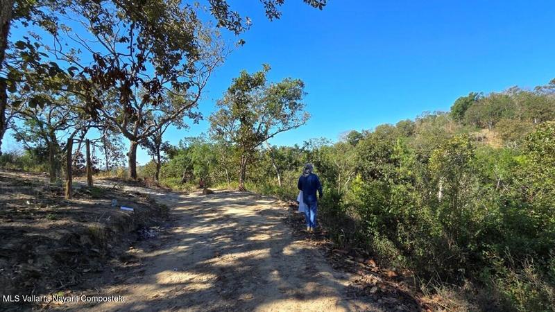 20250801190205311453000000 o