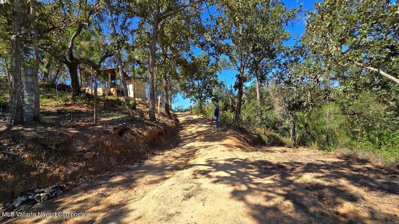 20250804201227764951000000 o