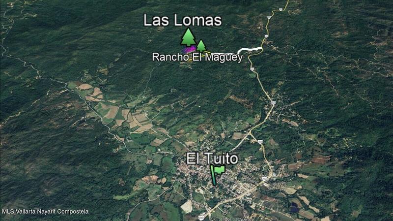 20250804201229587247000000 o