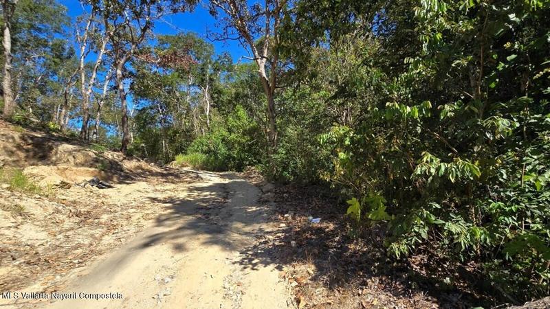 20250804205416725202000000 o