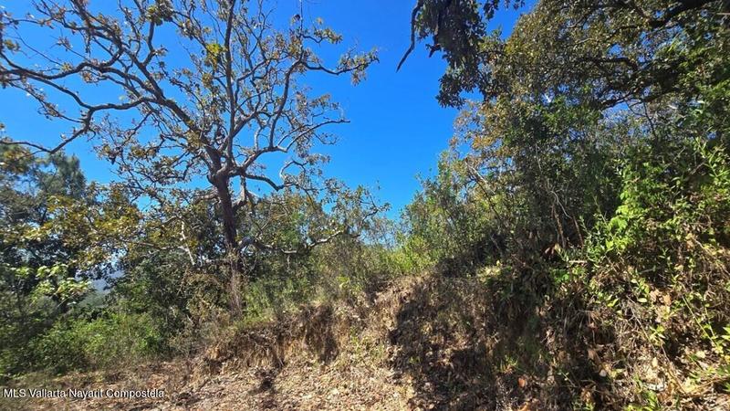 20250801193554711915000000 o