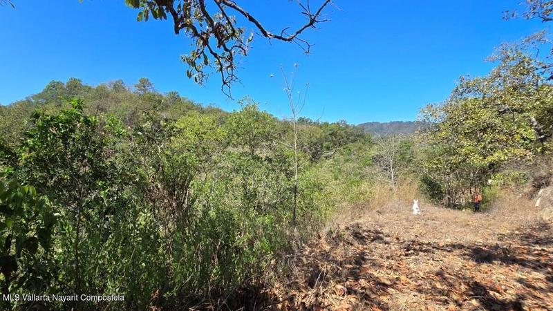 20250804201827567985000000 o