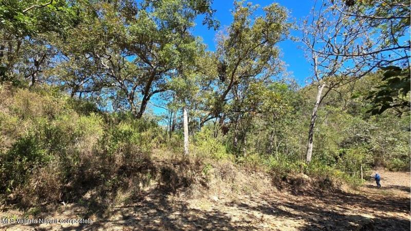 01 Carretera Tuito   Vallarta, Lote 19, Sierra Madre Jalisco, Ja