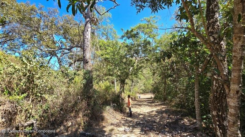 20250801194113542911000000 o