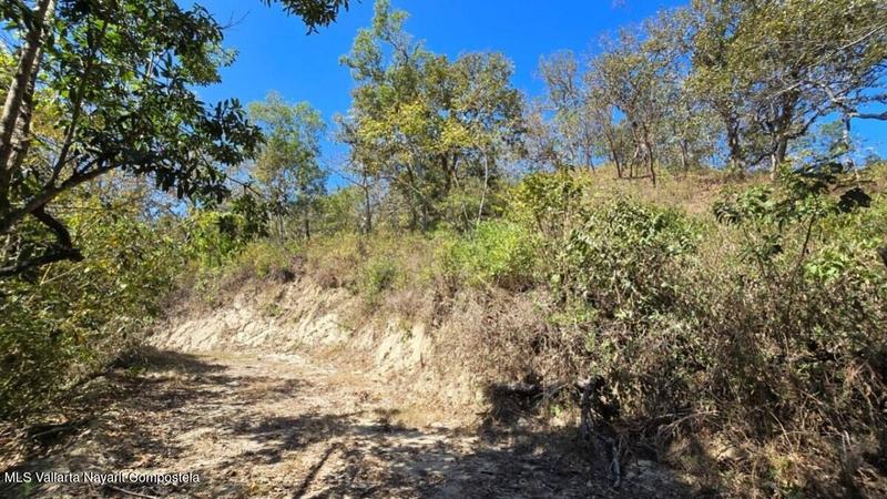 20250801194710331355000000 o