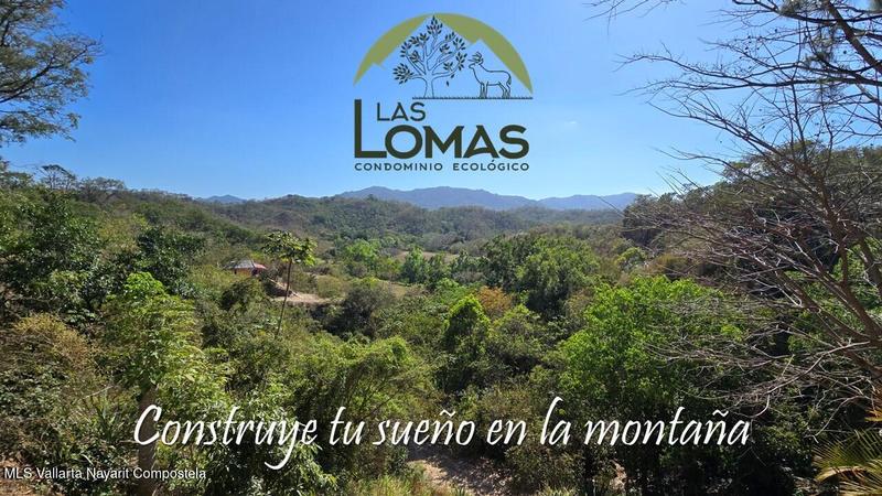 20250804211433170277000000 o