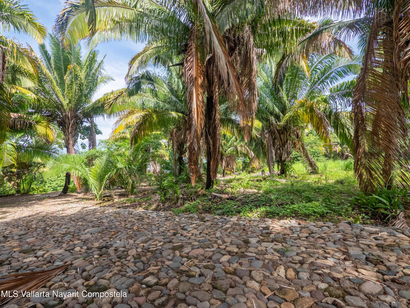 20251001205748256501000000 o