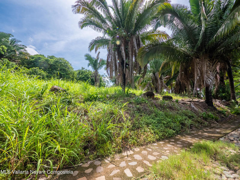 20251001205807022476000000 o