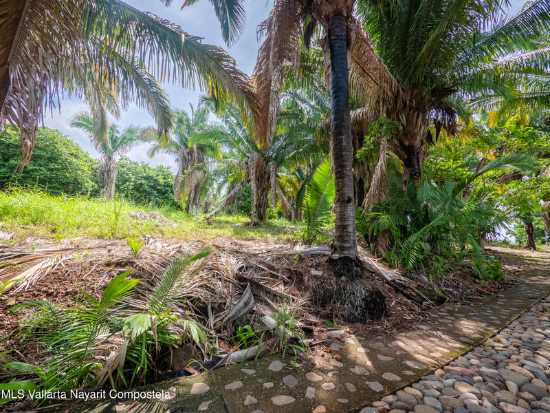 20251001212302474625000000 o