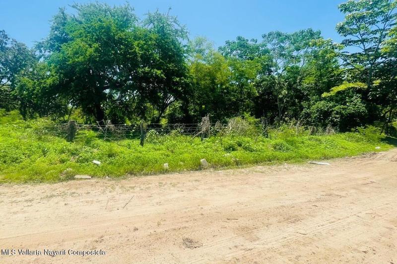 20250714231225540359000000 o