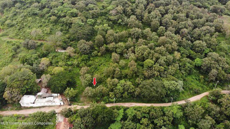 20251211055656824139000000 o