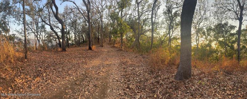 20251017001230470727000000 o