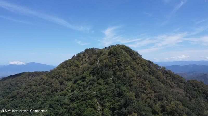 20251017152450411861000000 o