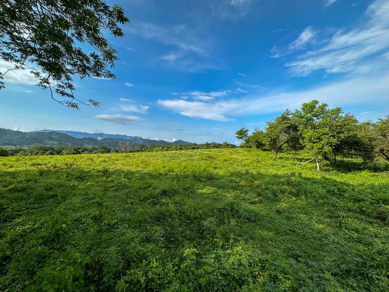 116 Pez Vela, Lote El Colesio, Puerto Vallarta, Ja