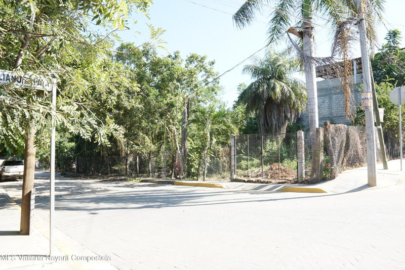 20260210163031779111000000 o