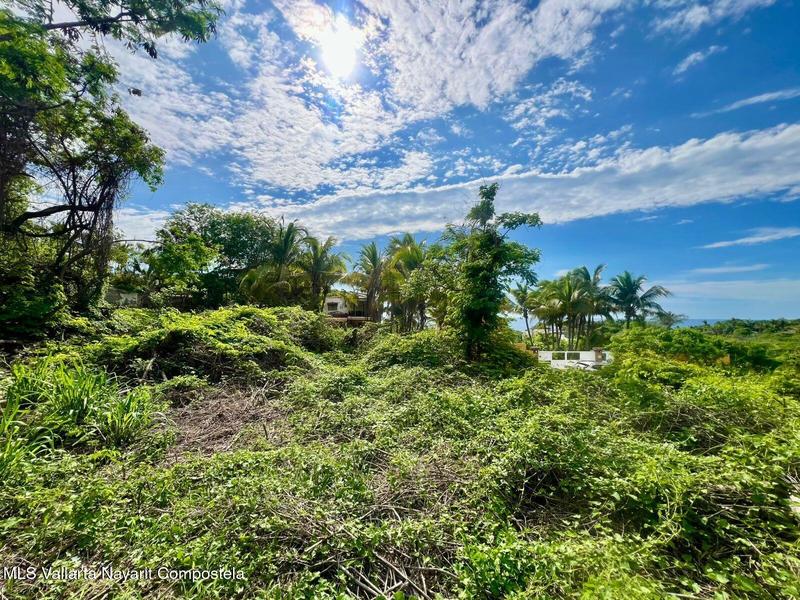 20250704185529987056000000 o