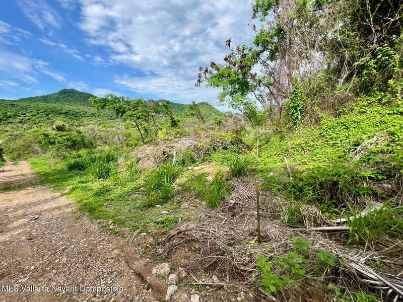 20250704185629744134000000 o