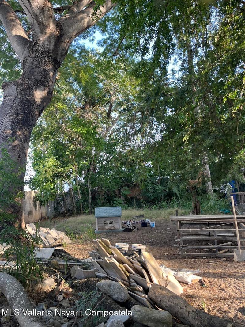 20260114035254450462000000 o