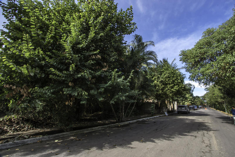 15 Paseo De Las Flores, Lote George, Riviera Nayarit, Na