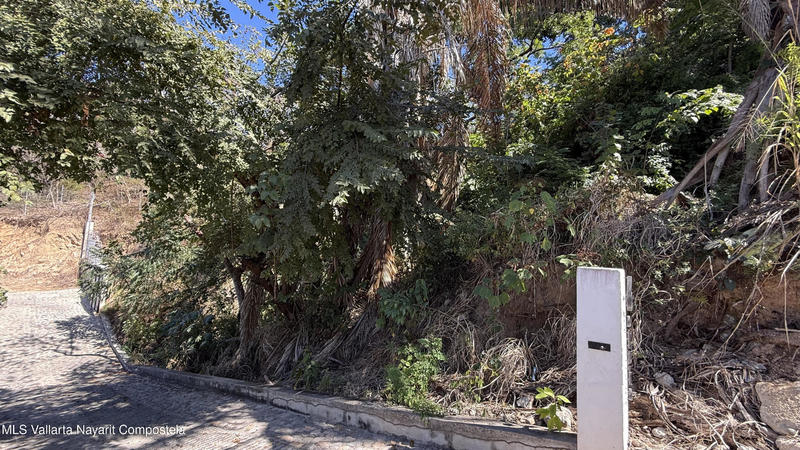 20260127165936322157000000 o