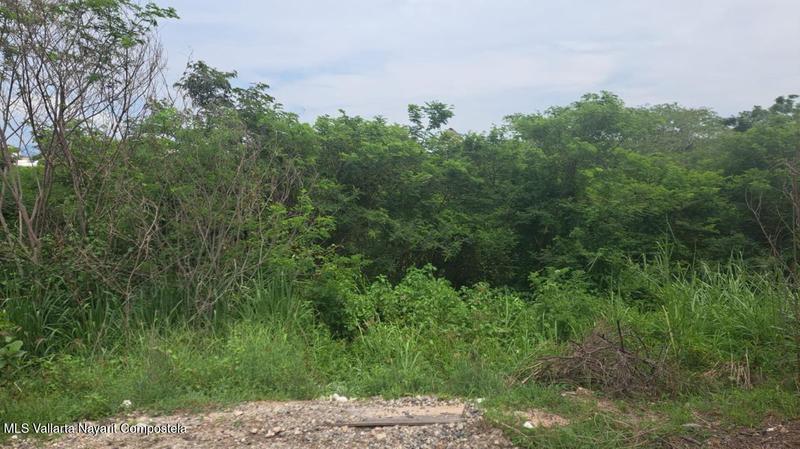 20250911222124916331000000 o