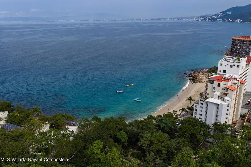 20251203231113594158000000 o