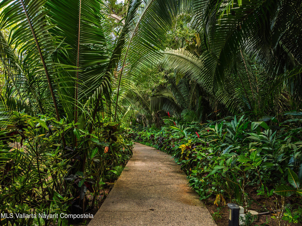 20251203231143371188000000 o