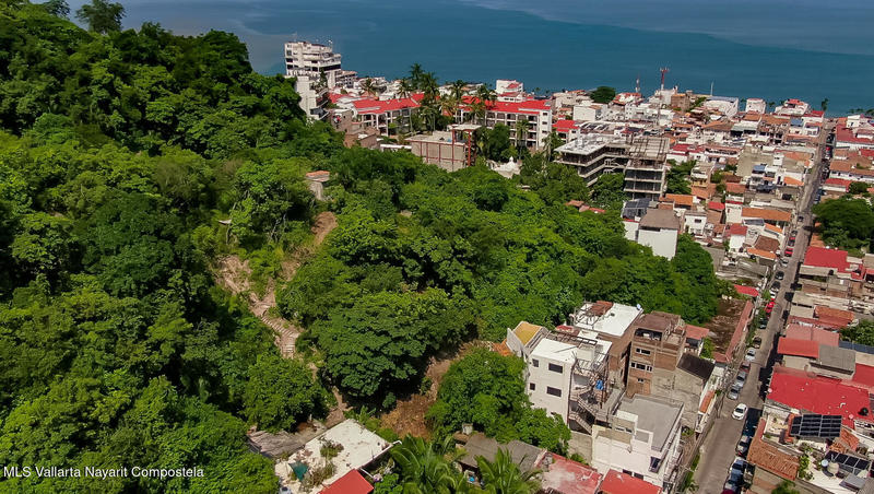 20250915232217728365000000 o