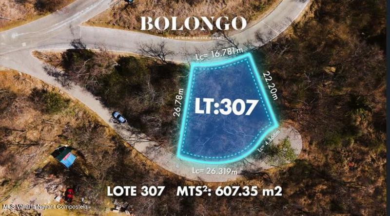 307 Paseo Del Colibri Bolongo, Lote 307, Riviera Nayarit, Na