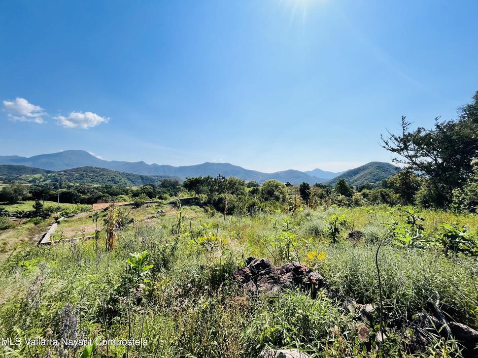 20260130012119302448000000 o