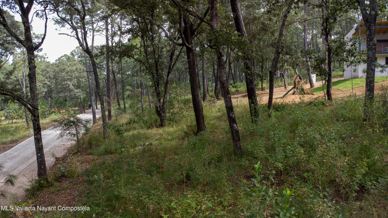 20251215230722580916000000 o