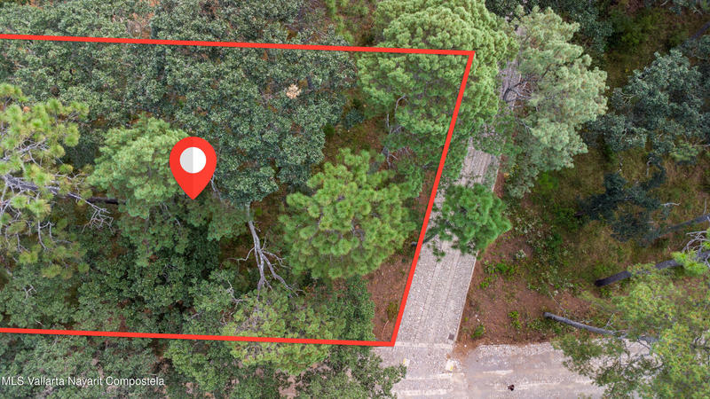 20251215230732972594000000 o