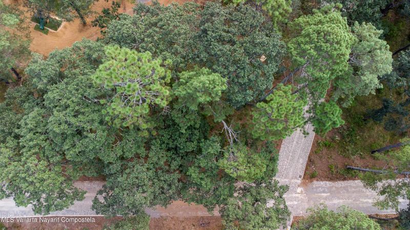 20251215230742873507000000 o