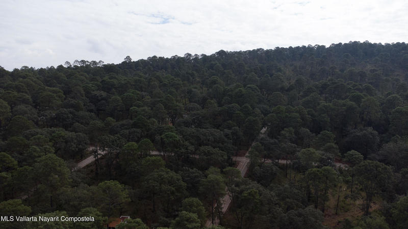 20251215230750769976000000 o