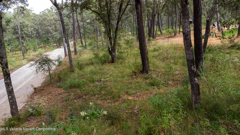 20251215230801870516000000 o