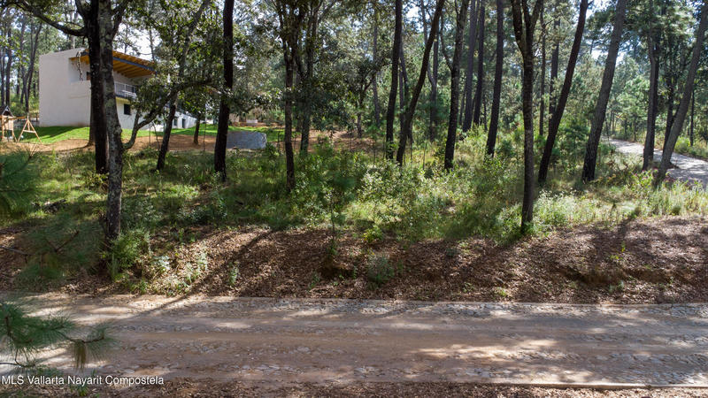 20251215230810457638000000 o