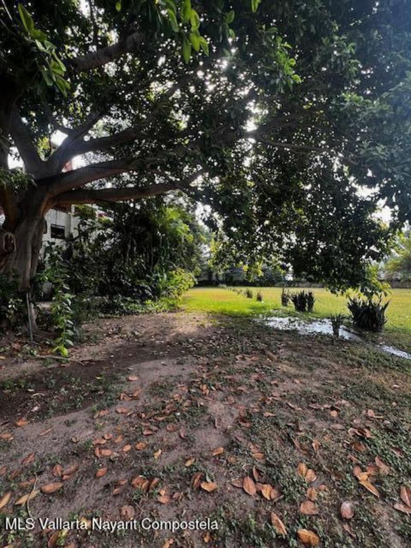 20260129221243284361000000 o